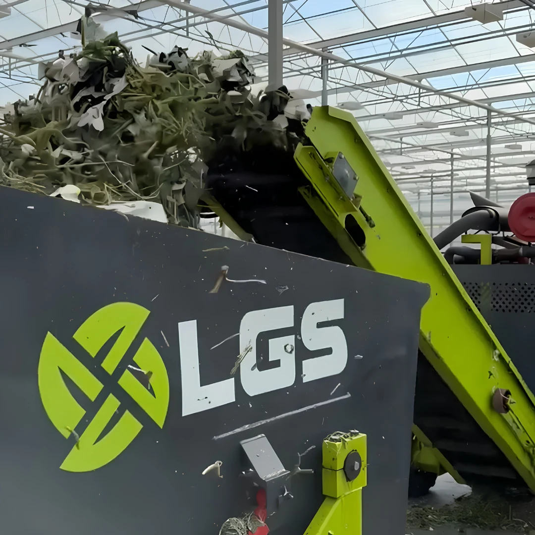 Leaf Removal